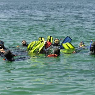 GROUPE | Randonnée palmée